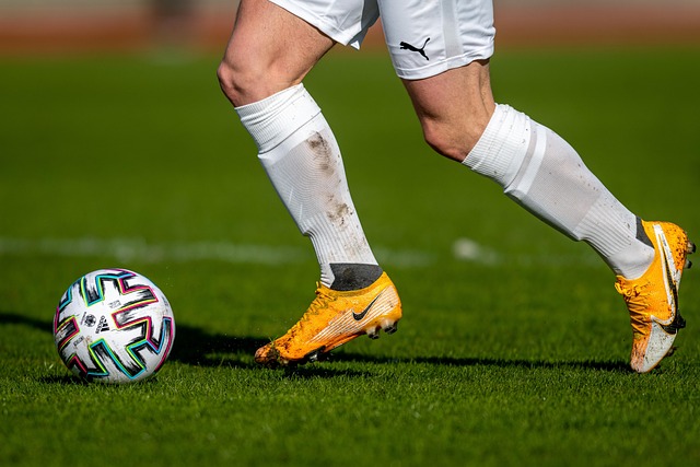 威洛克的传 威洛克的传