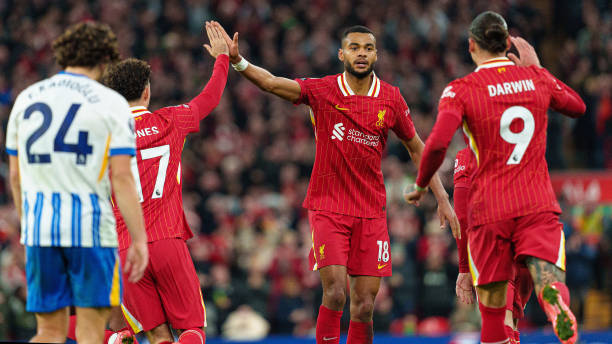 更是一场不 更是一场不